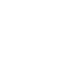 cyber-security icon