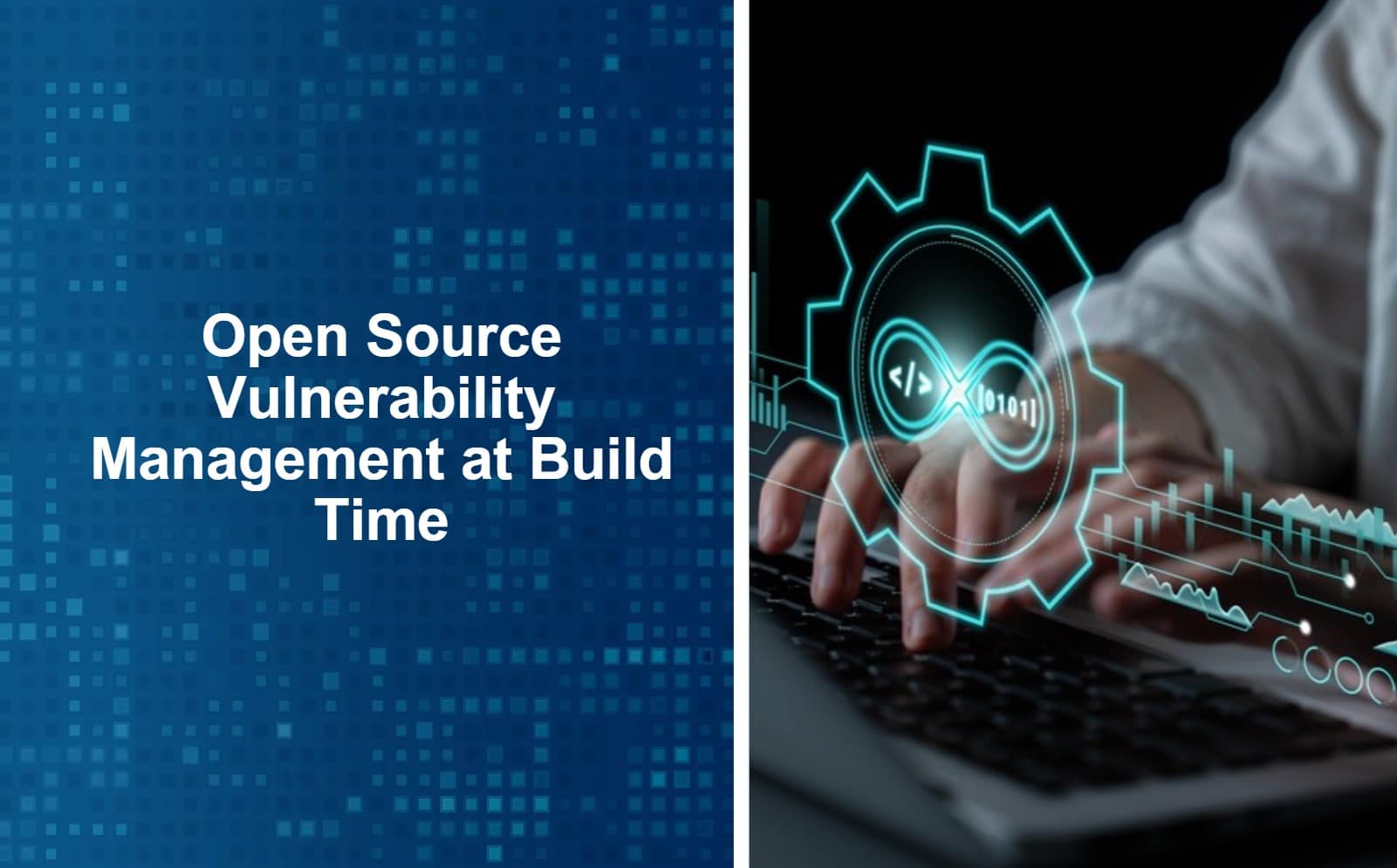 Open Source Vulnerability Management